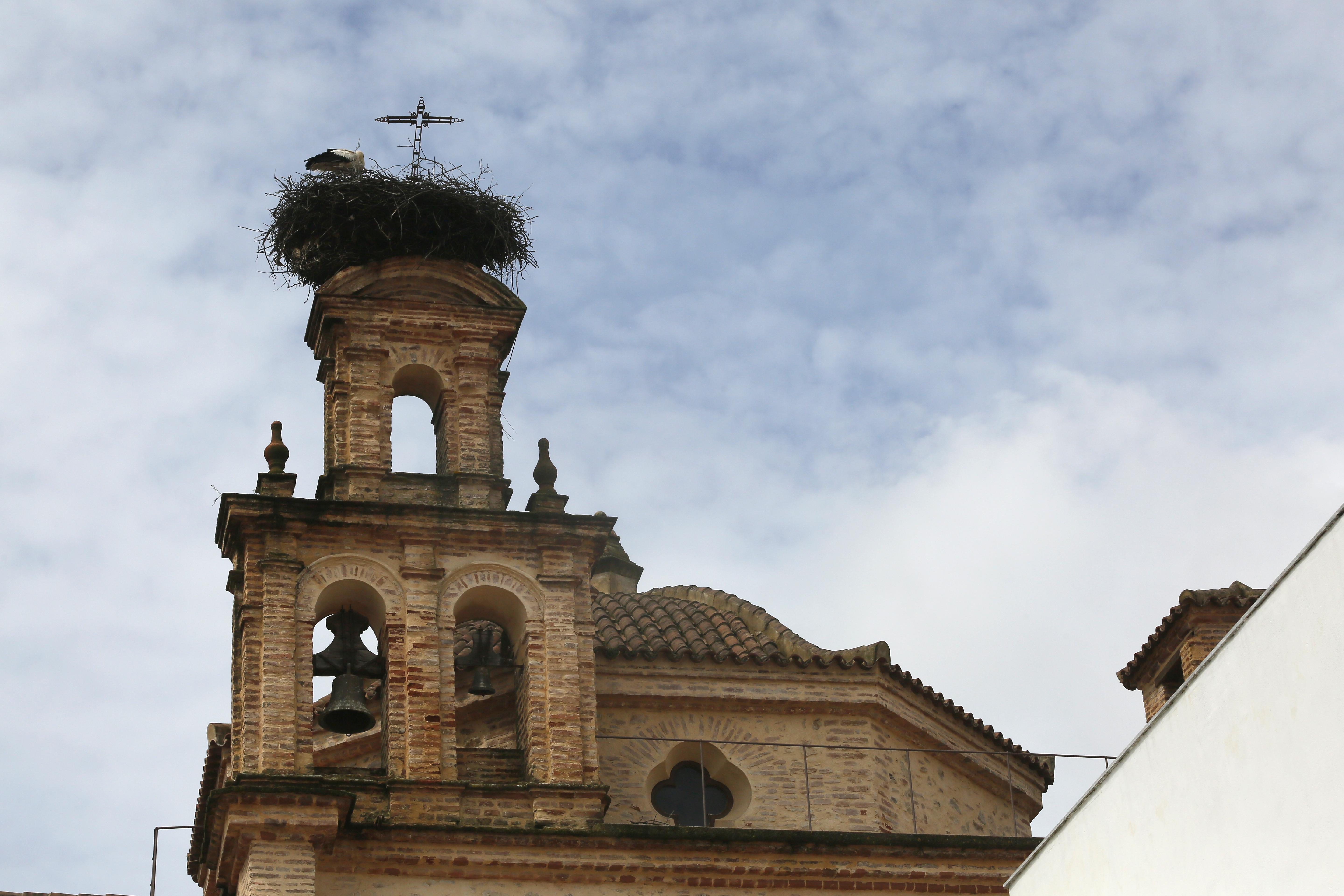 Hotel Convento Aracena & Spa Экстерьер фото